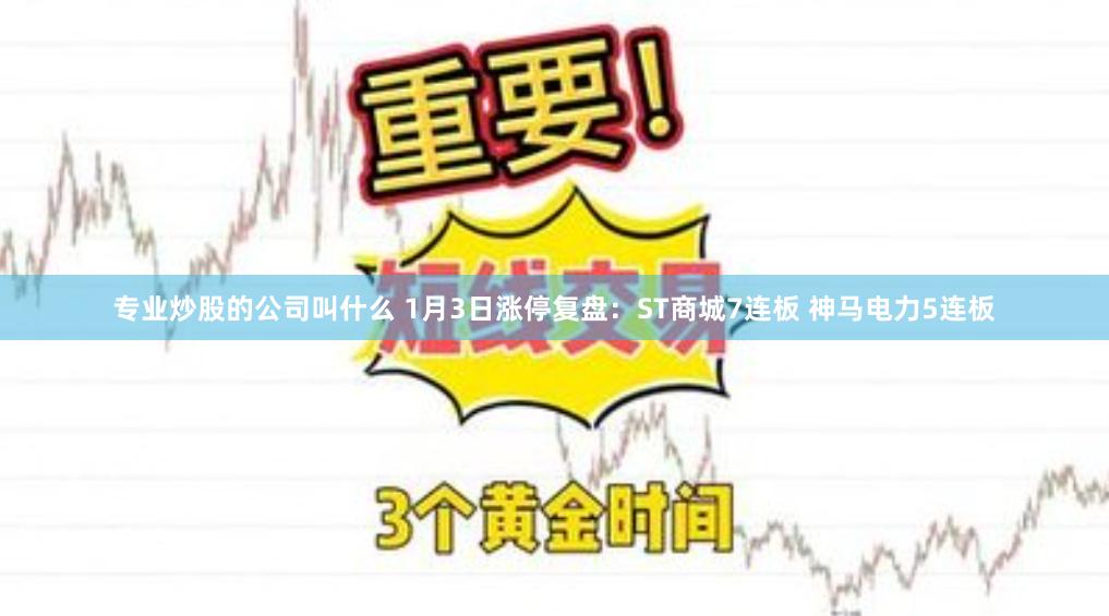 专业炒股的公司叫什么 1月3日涨停复盘：ST商城7连板 神马电力5连板